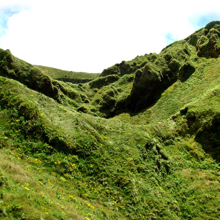 gallery_thumbnail